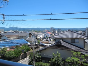 三島広小路駅 徒歩16分 3階の物件内観写真